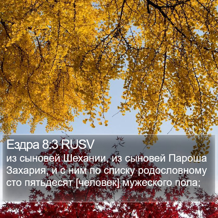 Ездра 8:3 RUSV Bible Study