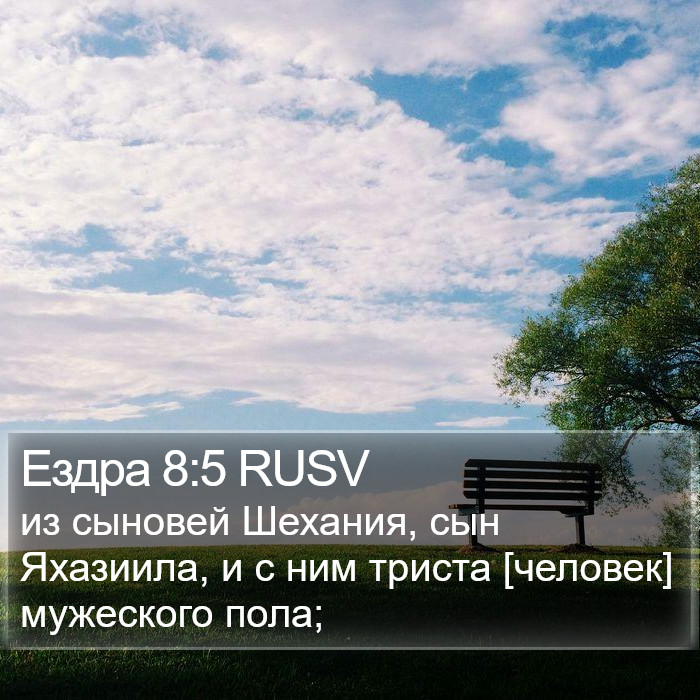 Ездра 8:5 RUSV Bible Study