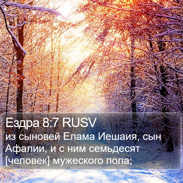 Ездра 8:7 RUSV Bible Study