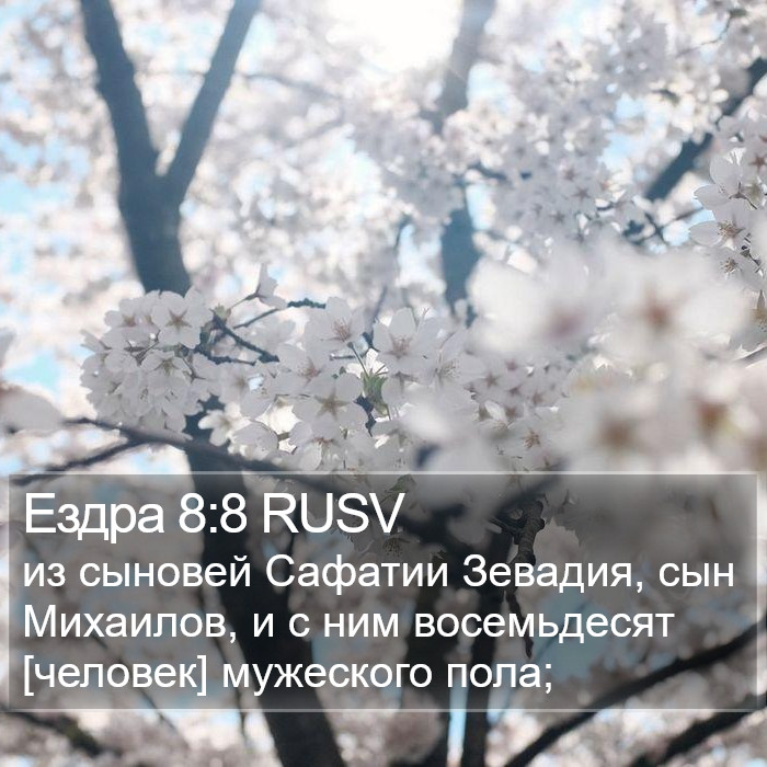 Ездра 8:8 RUSV Bible Study
