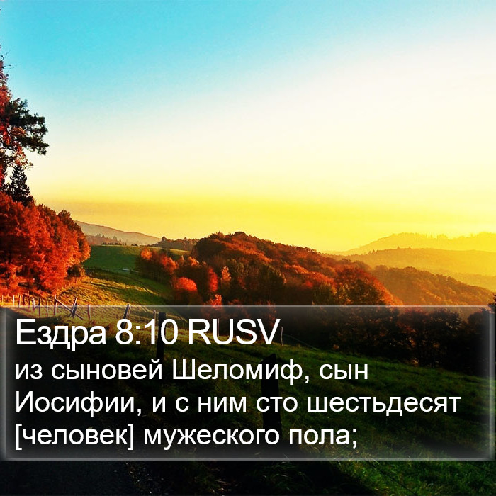 Ездра 8:10 RUSV Bible Study