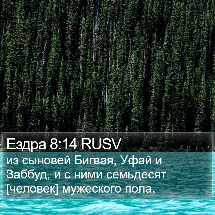 Ездра 8:14 RUSV Bible Study