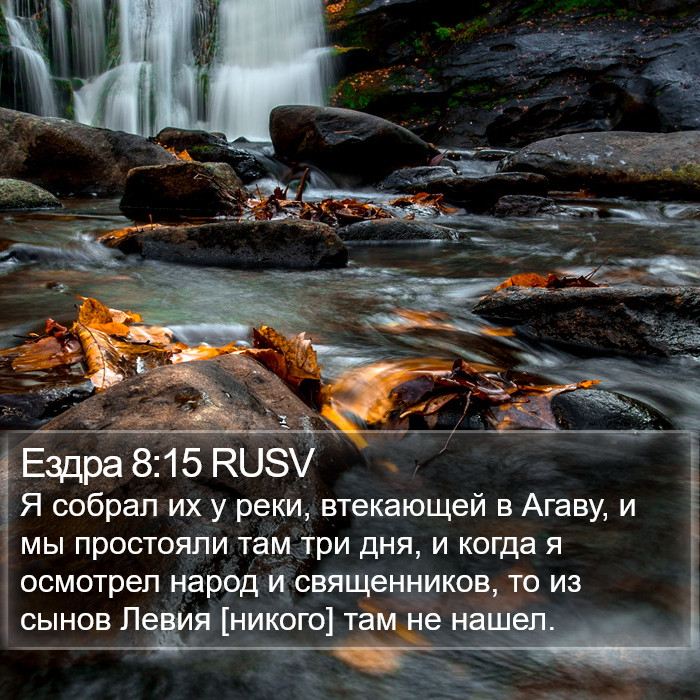 Ездра 8:15 RUSV Bible Study