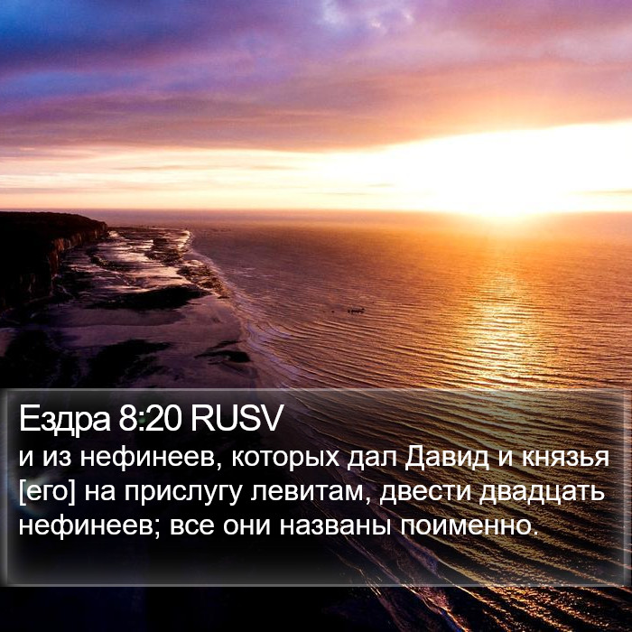Ездра 8:20 RUSV Bible Study