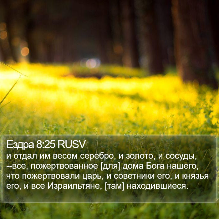 Ездра 8:25 RUSV Bible Study