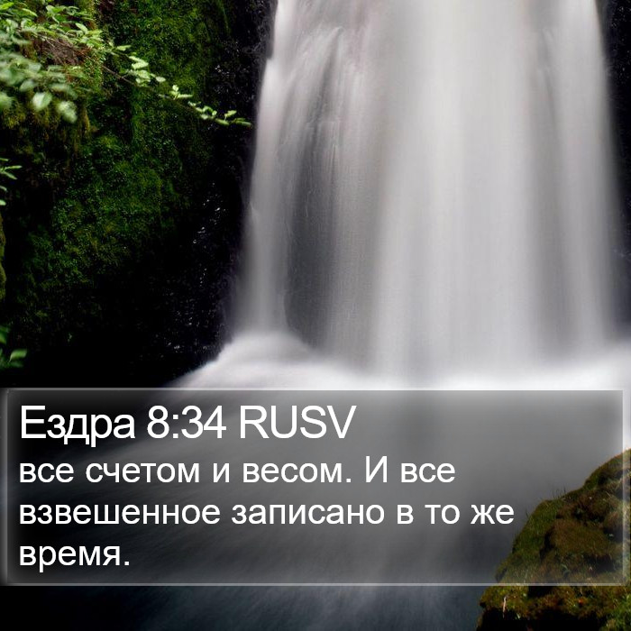 Ездра 8:34 RUSV Bible Study