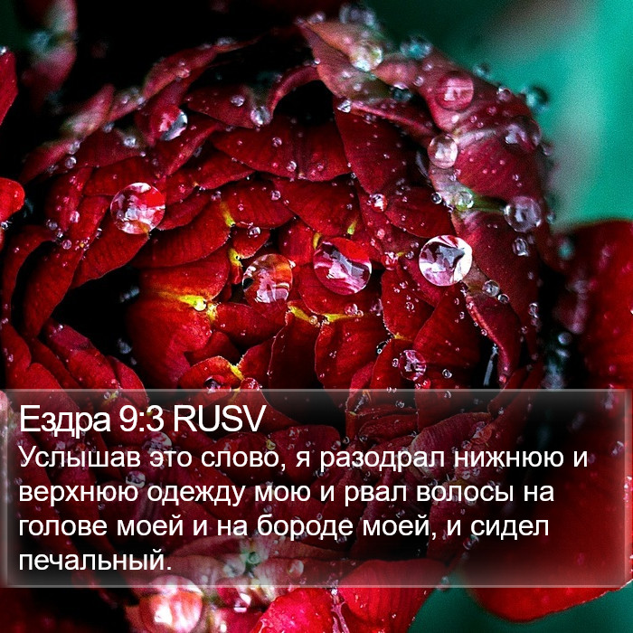 Ездра 9:3 RUSV Bible Study