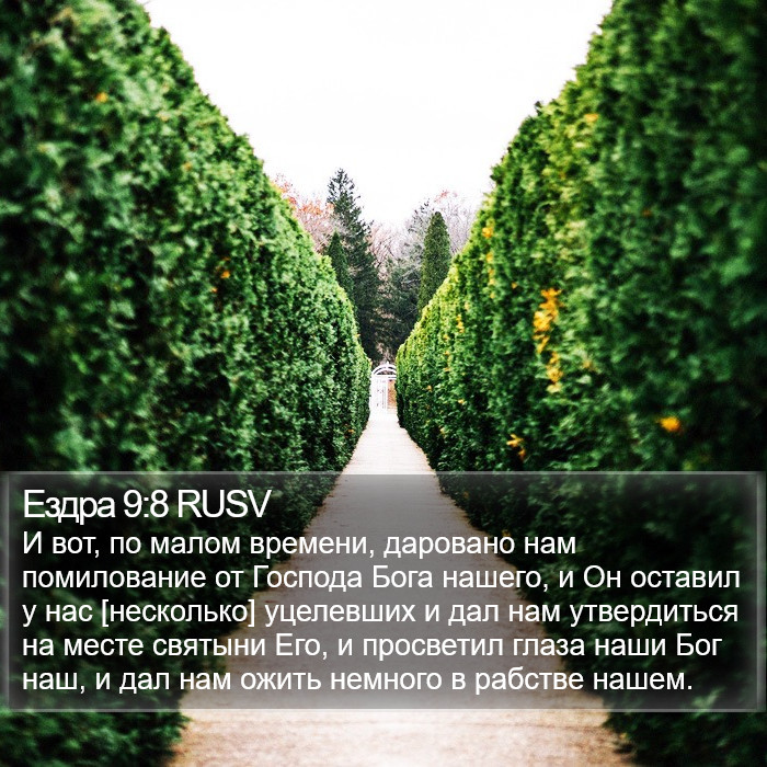 Ездра 9:8 RUSV Bible Study