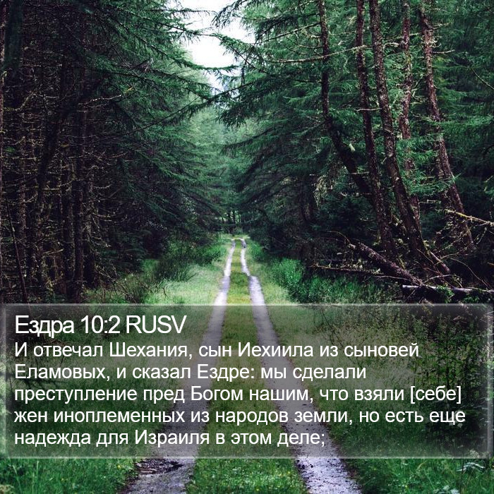 Ездра 10:2 RUSV Bible Study