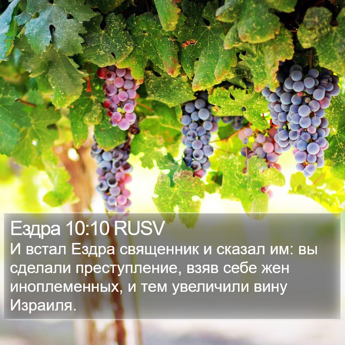 Ездра 10:10 RUSV Bible Study