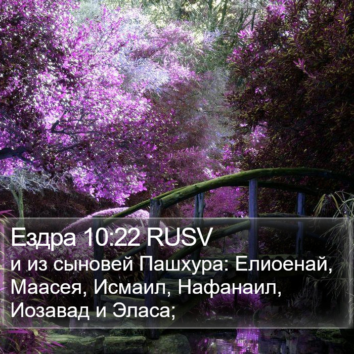 Ездра 10:22 RUSV Bible Study