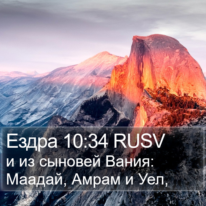 Ездра 10:34 RUSV Bible Study