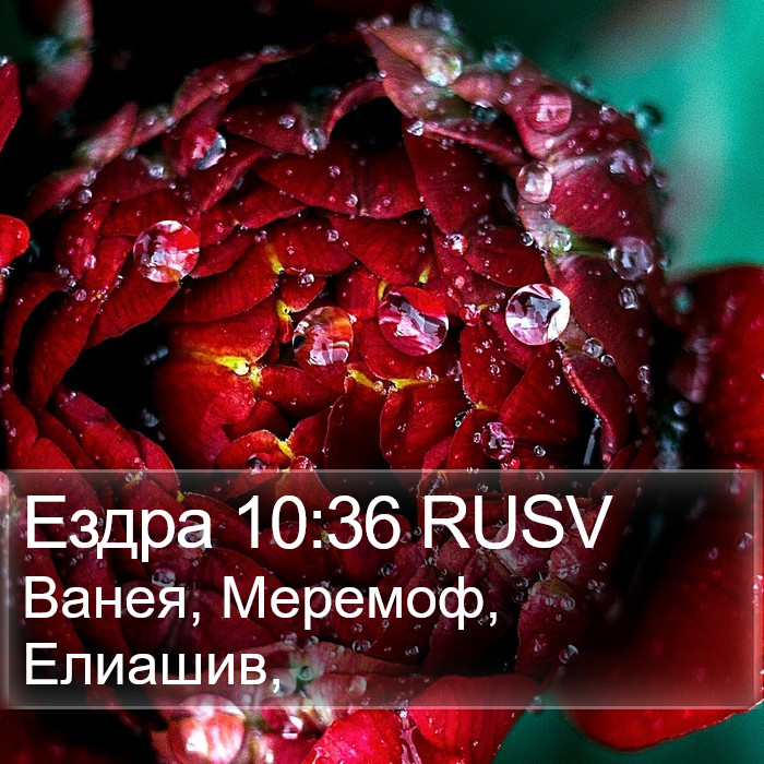 Ездра 10:36 RUSV Bible Study