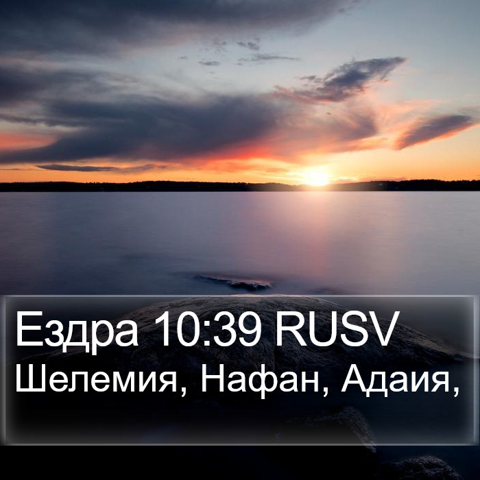 Ездра 10:39 RUSV Bible Study