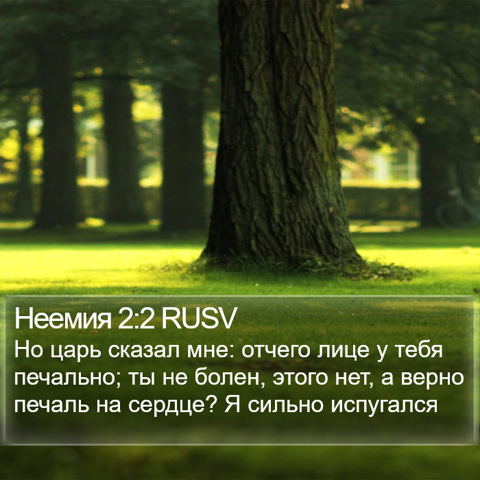 Неемия 2:2 RUSV Bible Study