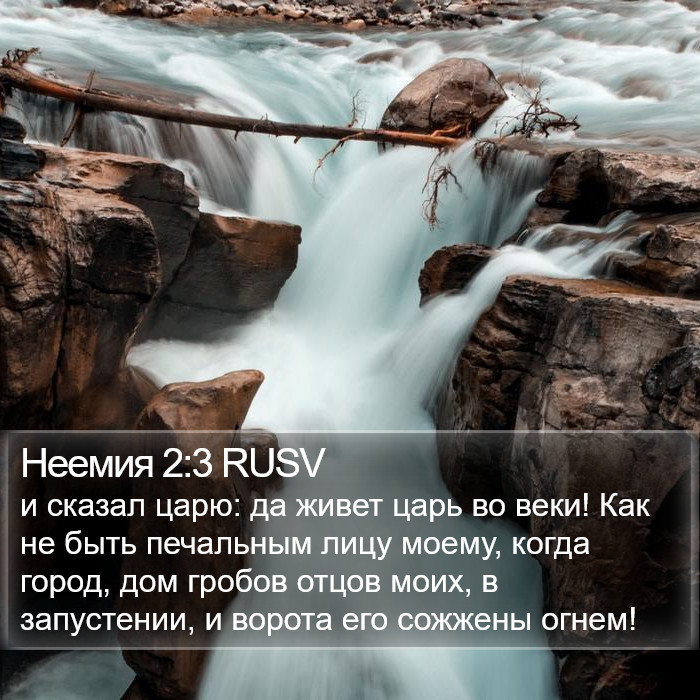 Неемия 2:3 RUSV Bible Study