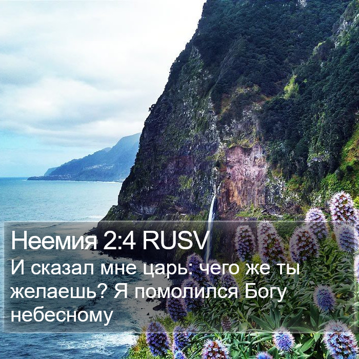 Неемия 2:4 RUSV Bible Study