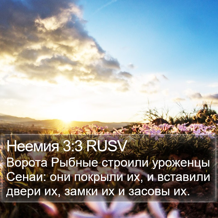 Неемия 3:3 RUSV Bible Study