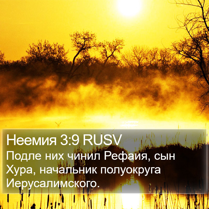 Неемия 3:9 RUSV Bible Study