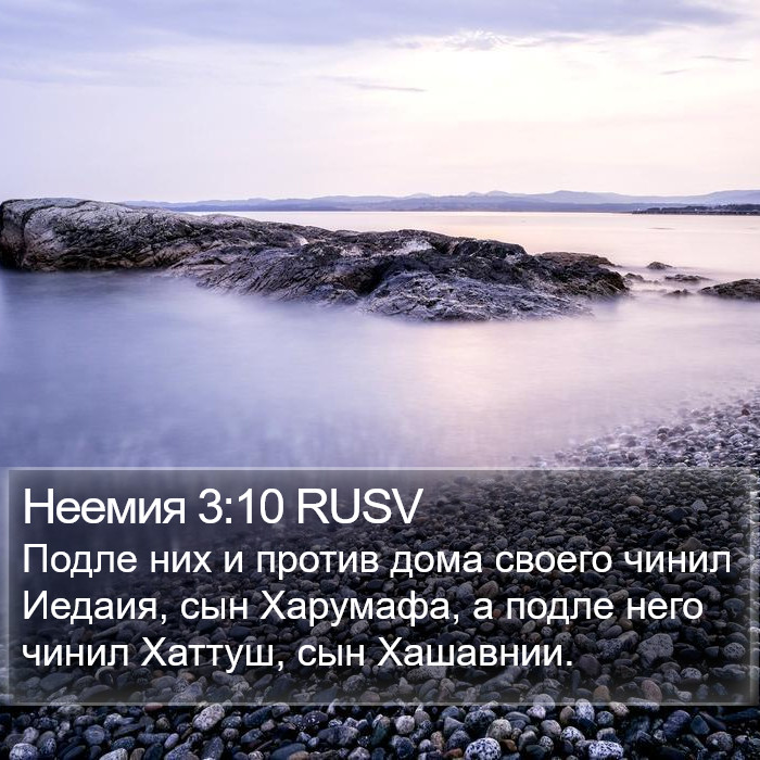 Неемия 3:10 RUSV Bible Study