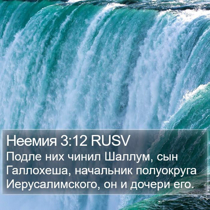 Неемия 3:12 RUSV Bible Study