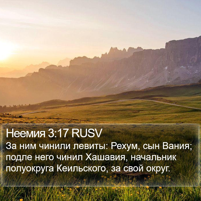 Неемия 3:17 RUSV Bible Study