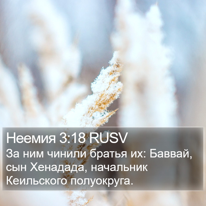 Неемия 3:18 RUSV Bible Study