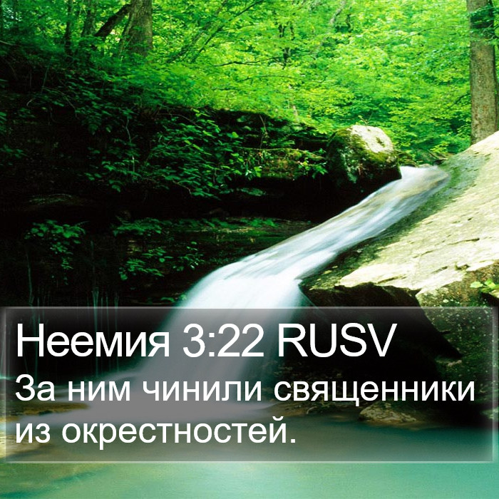 Неемия 3:22 RUSV Bible Study