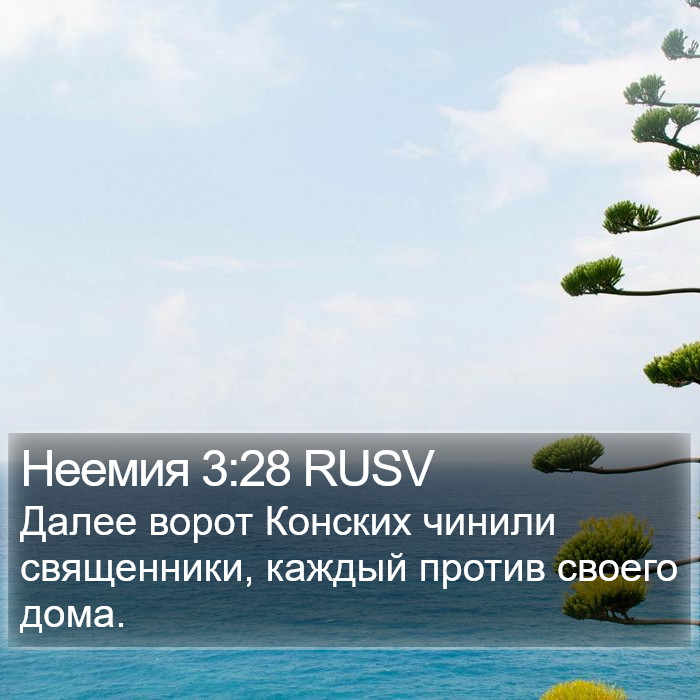 Неемия 3:28 RUSV Bible Study