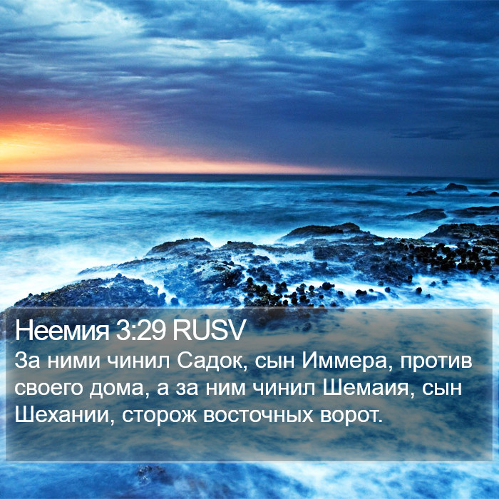 Неемия 3:29 RUSV Bible Study