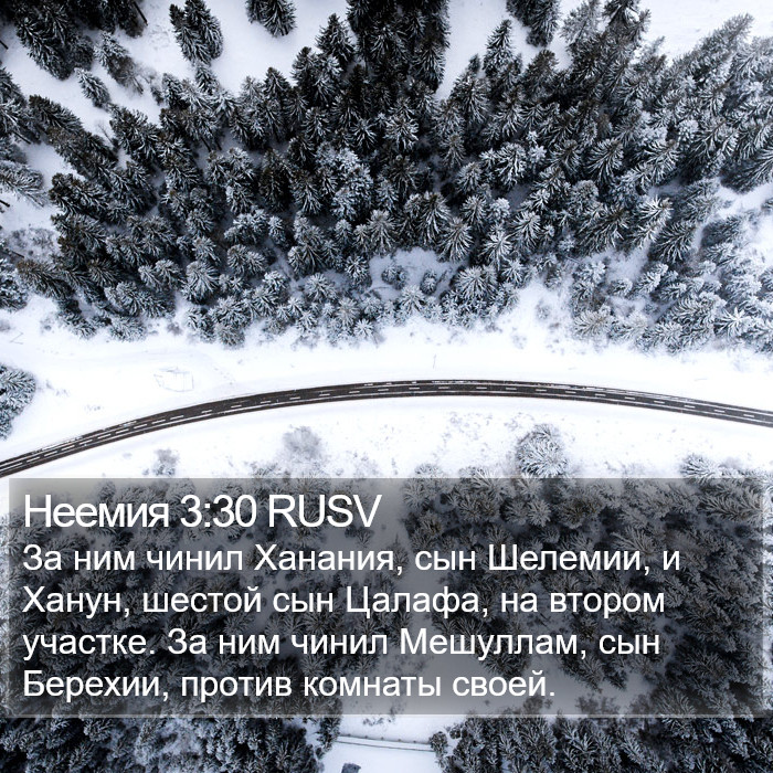 Неемия 3:30 RUSV Bible Study