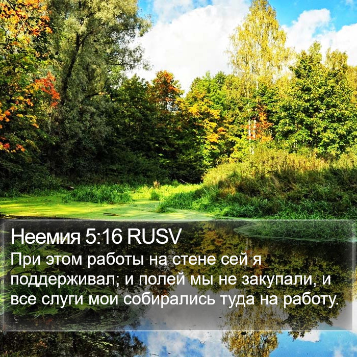 Неемия 5:16 RUSV Bible Study