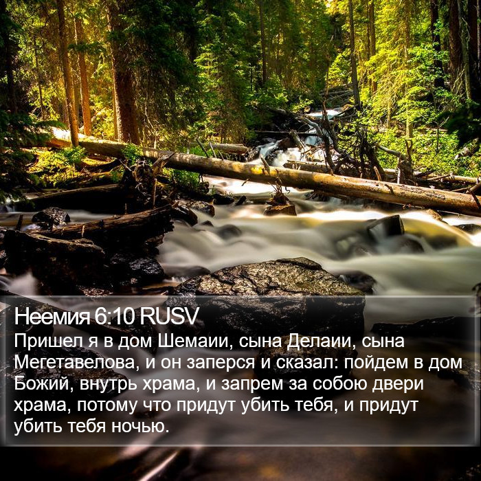 Неемия 6:10 RUSV Bible Study