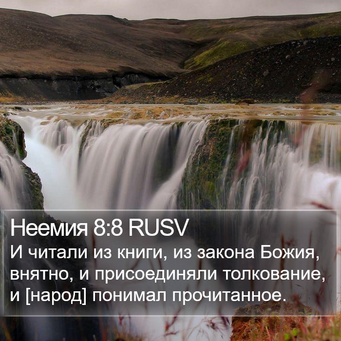 Неемия 8:8 RUSV Bible Study