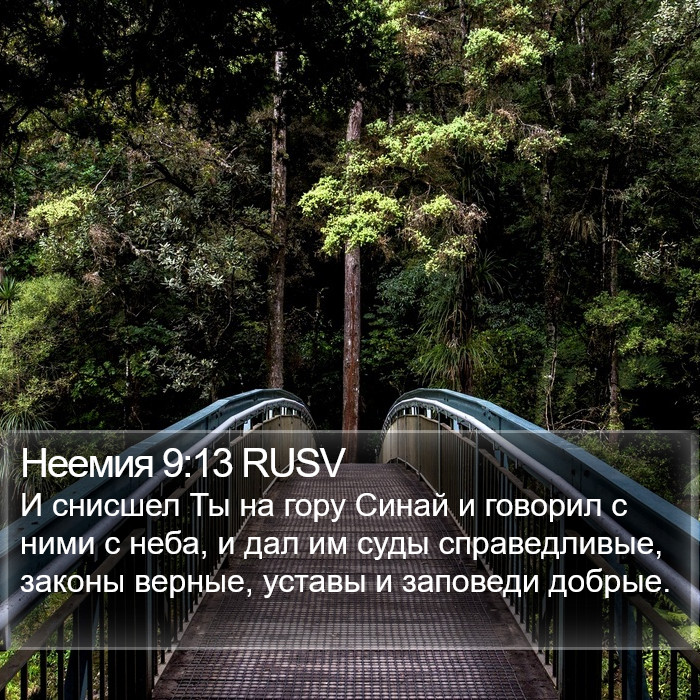 Неемия 9:13 RUSV Bible Study