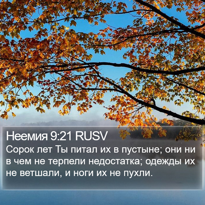Неемия 9:21 RUSV Bible Study