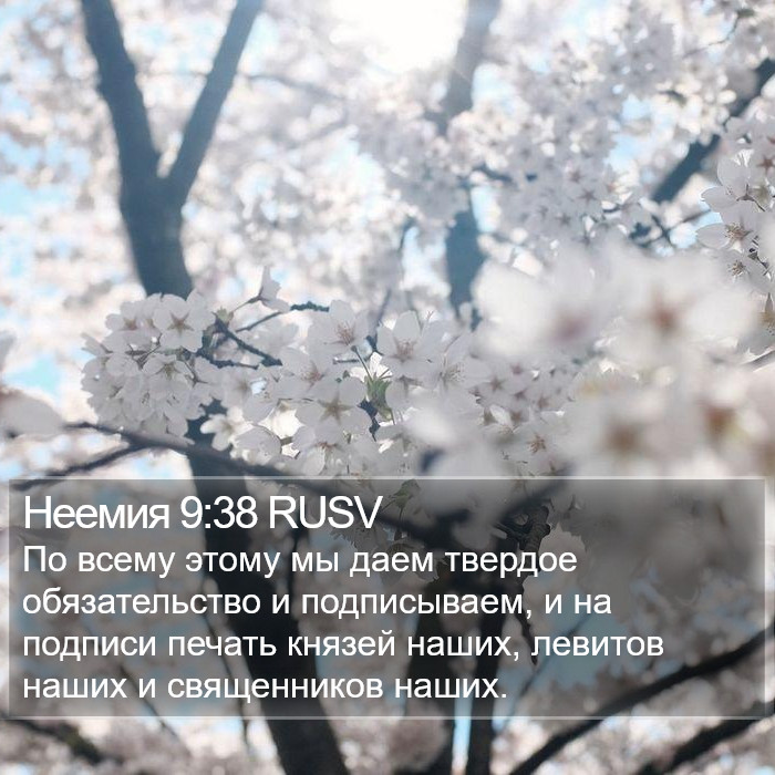 Неемия 9:38 RUSV Bible Study