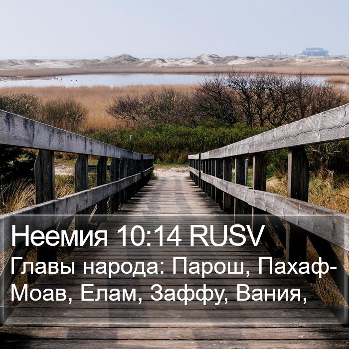 Неемия 10:14 RUSV Bible Study