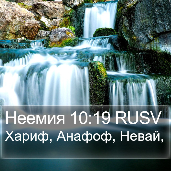 Неемия 10:19 RUSV Bible Study