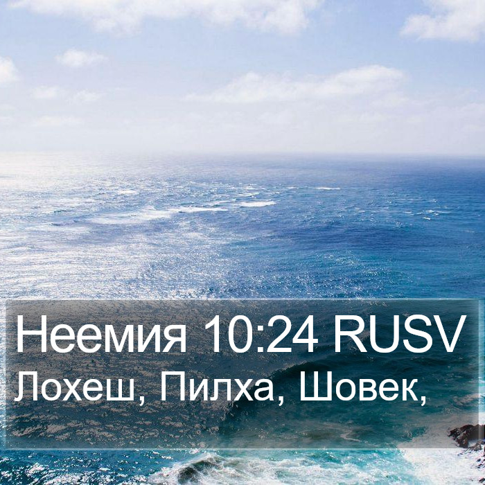 Неемия 10:24 RUSV Bible Study