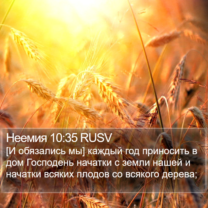 Неемия 10:35 RUSV Bible Study