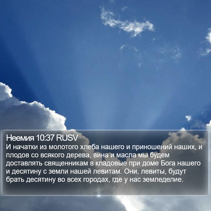 Неемия 10:37 RUSV Bible Study