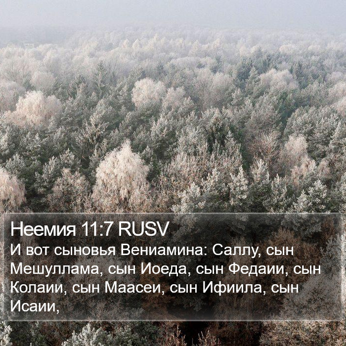 Неемия 11:7 RUSV Bible Study