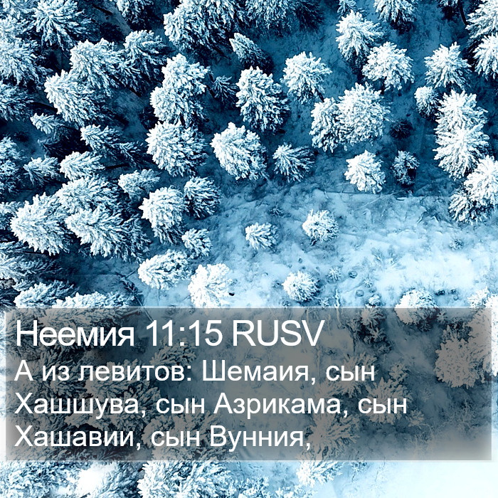 Неемия 11:15 RUSV Bible Study