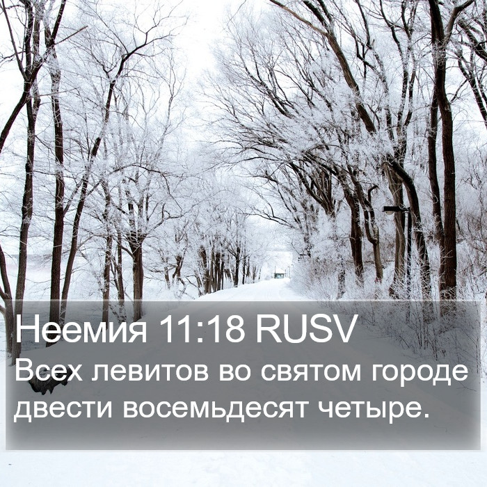 Неемия 11:18 RUSV Bible Study