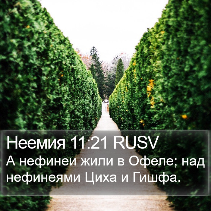 Неемия 11:21 RUSV Bible Study