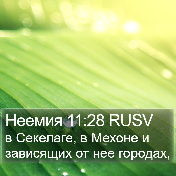 Неемия 11:28 RUSV Bible Study