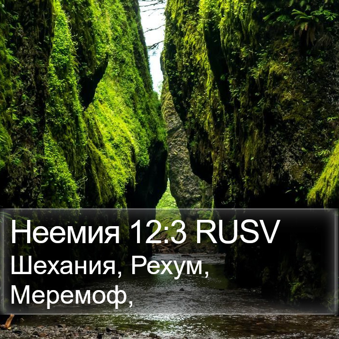 Неемия 12:3 RUSV Bible Study