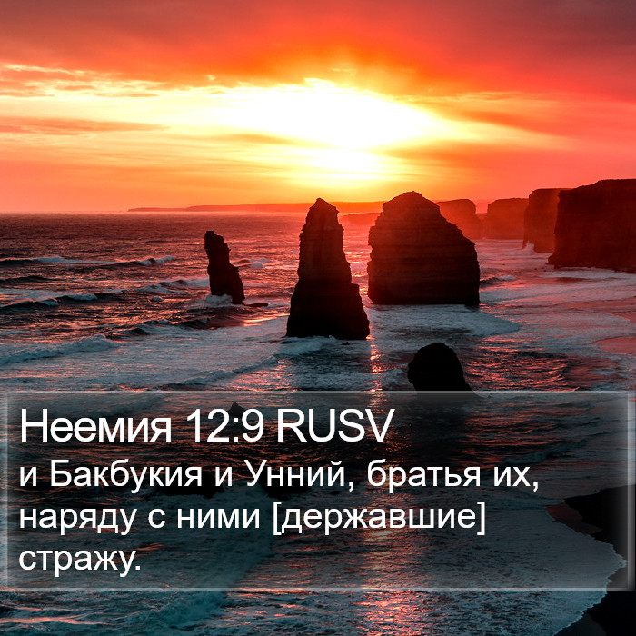 Неемия 12:9 RUSV Bible Study