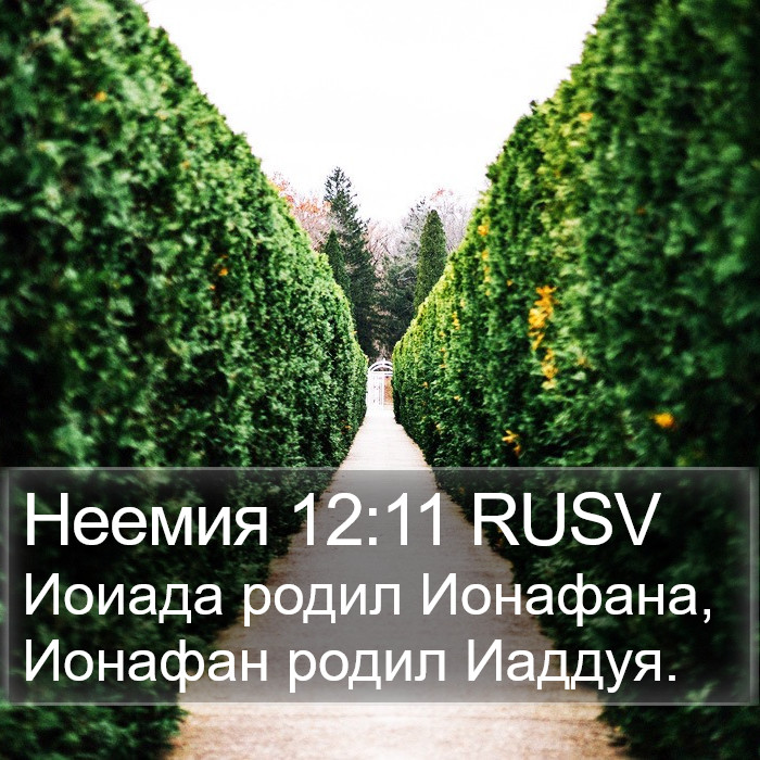 Неемия 12:11 RUSV Bible Study